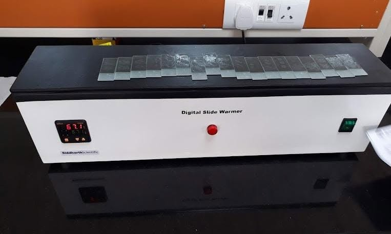 Digital Slide Warmer